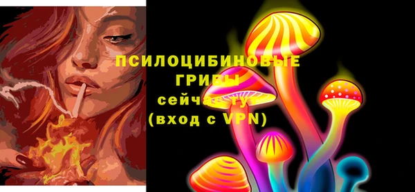 молекула духа Магадан