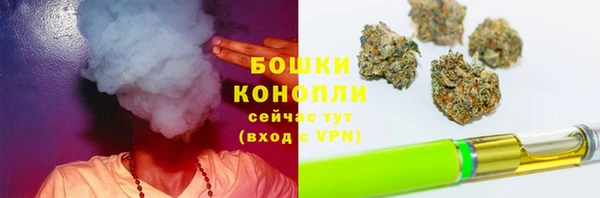 эйфоретик Майский