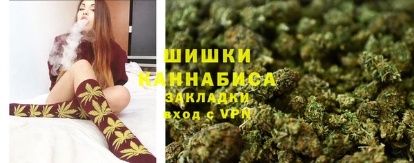 молекула духа Магадан