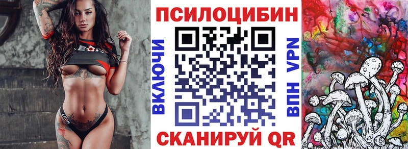 закладка  нарко площадка наркотические препараты  Галлюциногенные грибы Psilocybine cubensis  Вилючинск 